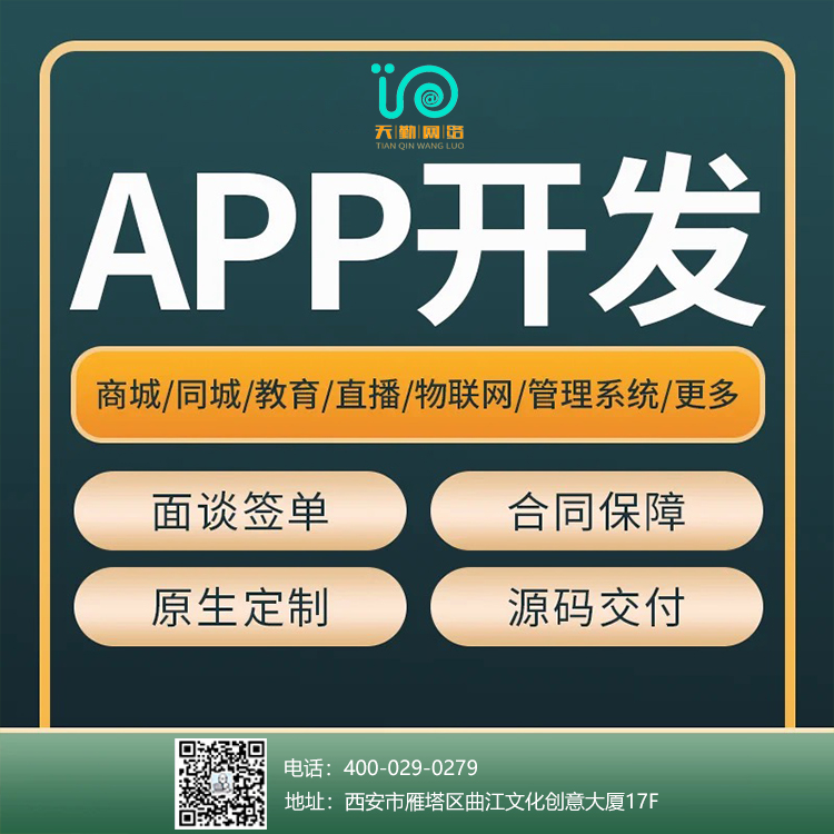 APP开发