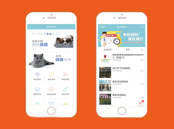 宠物医疗APP开发对狗狗看病有哪些便利?